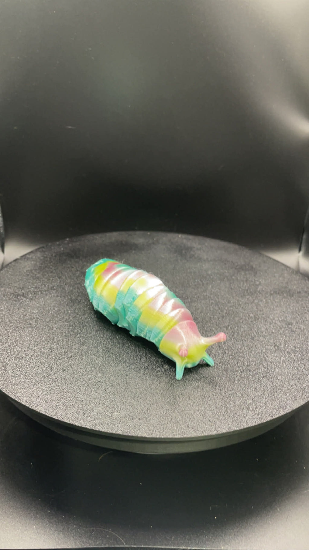Rainbow Slug