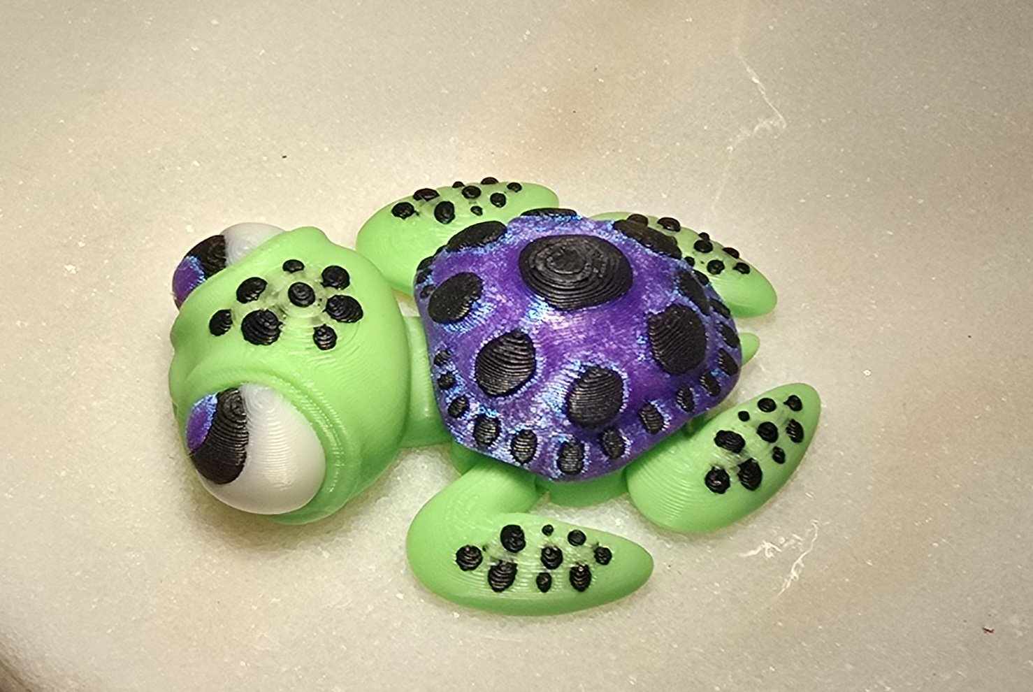 Sea Turtles