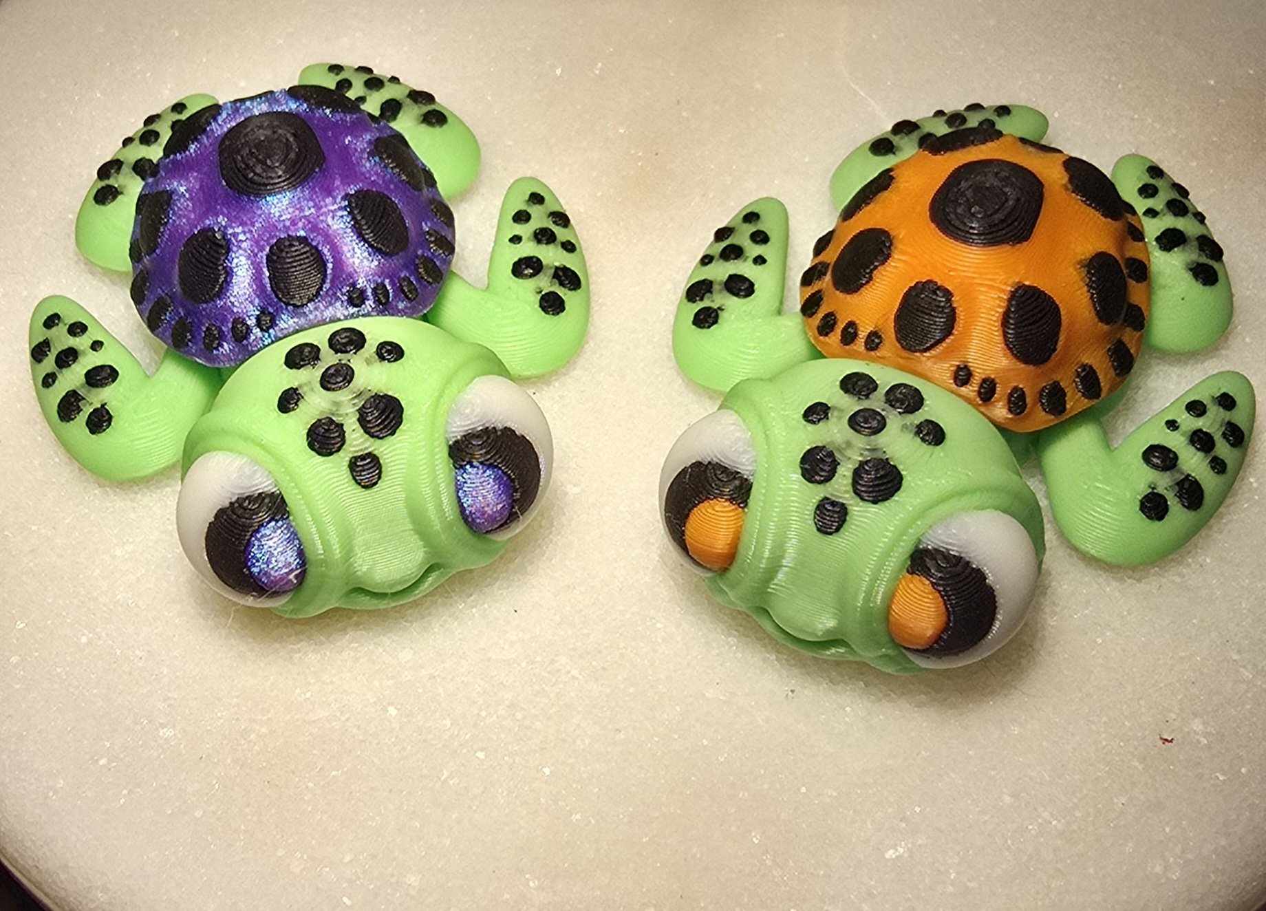 Sea Turtles