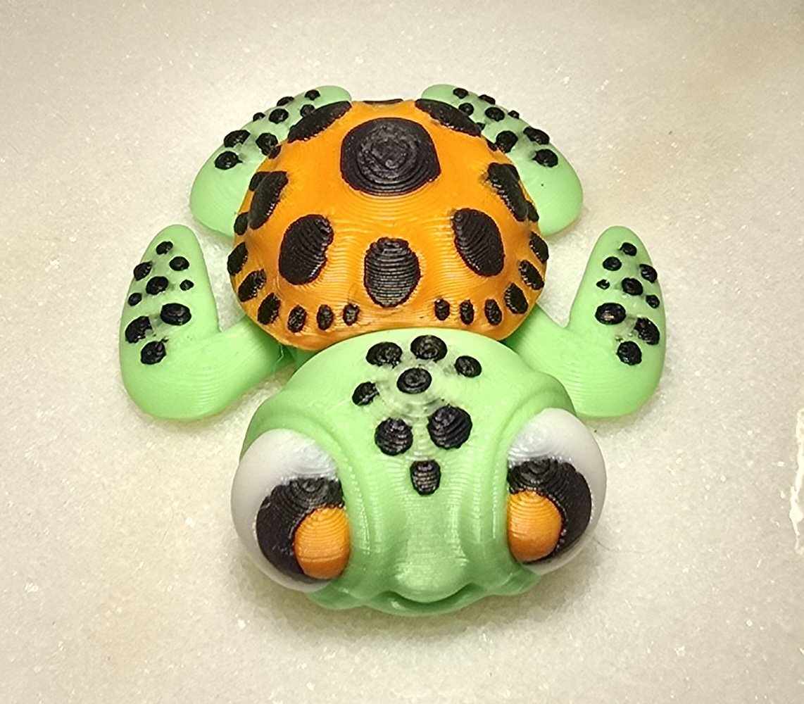 Sea Turtles