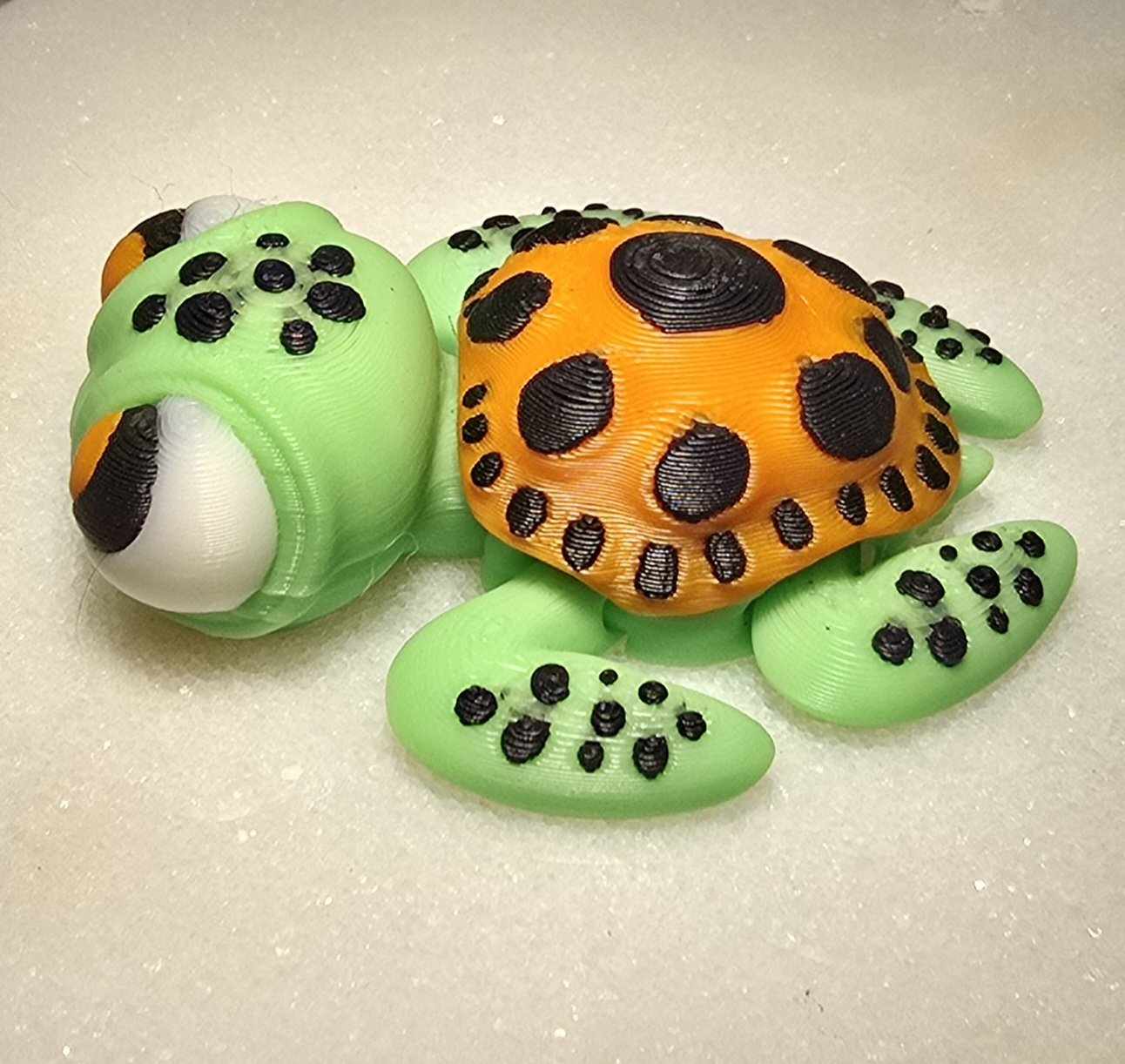 Sea Turtles