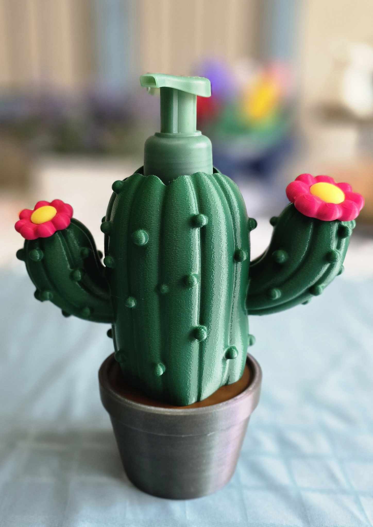 Cactus Soap Holder