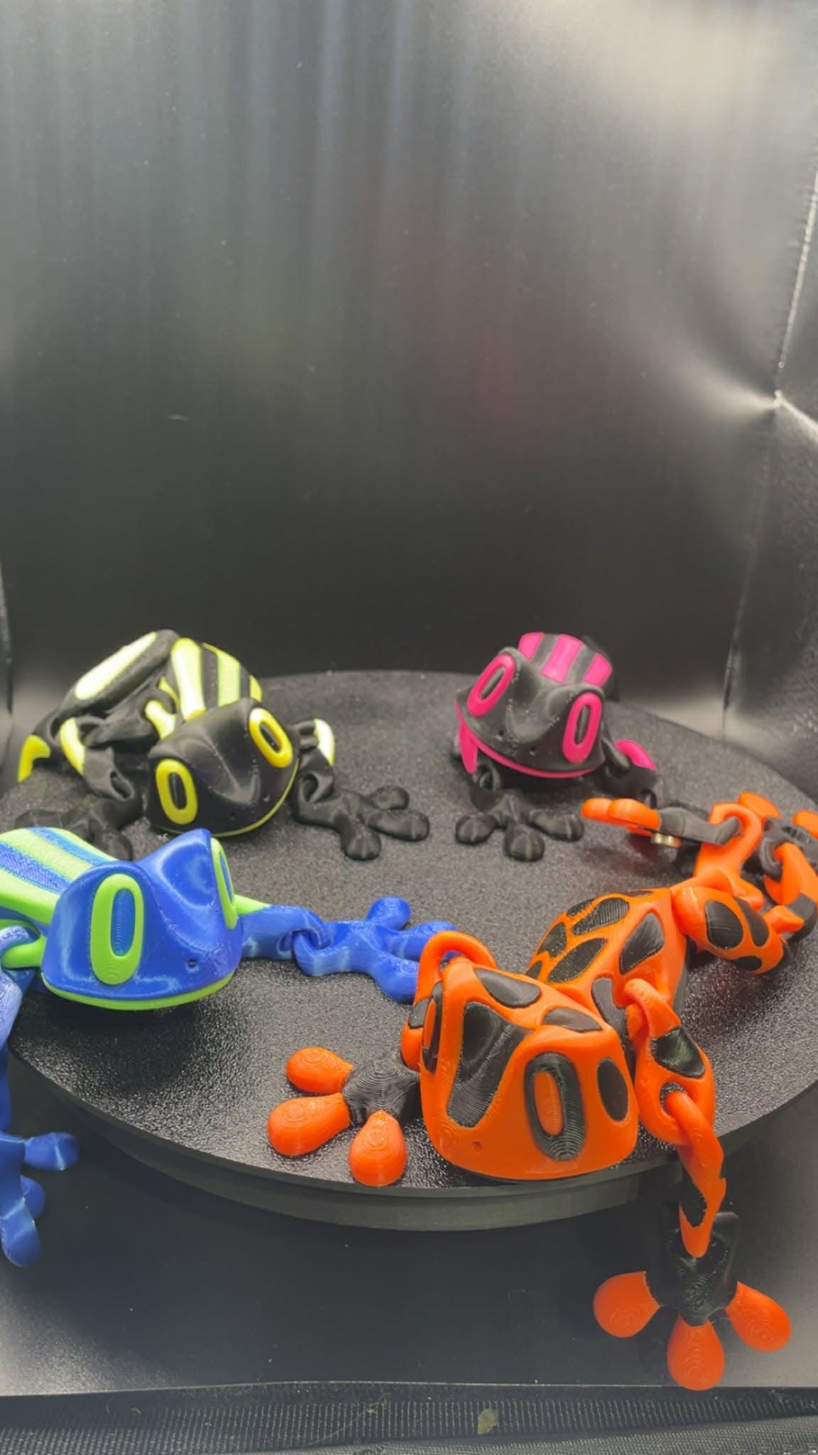 Frog Magnets