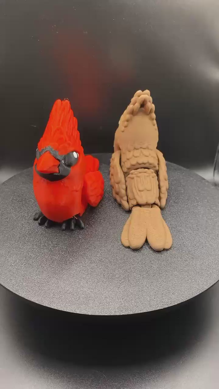 Male & Female Cardinal Set