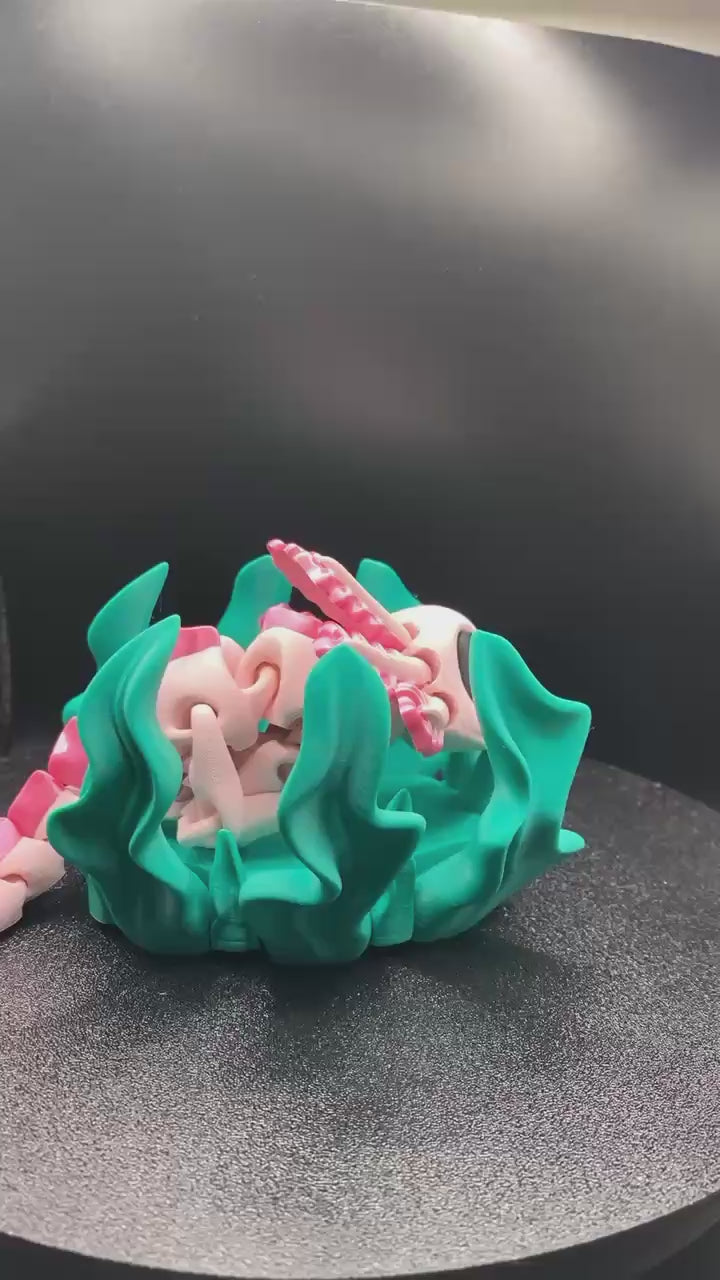 Axolotl With Seaweed Bed