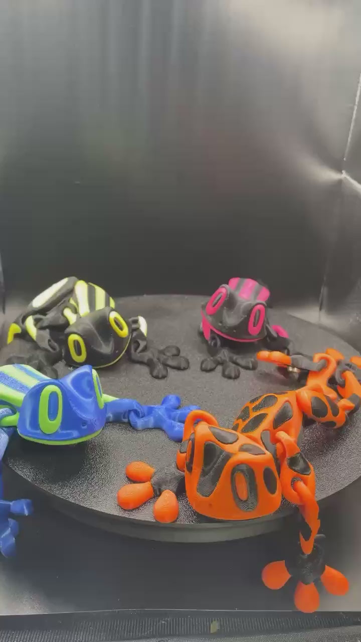Frog Magnets