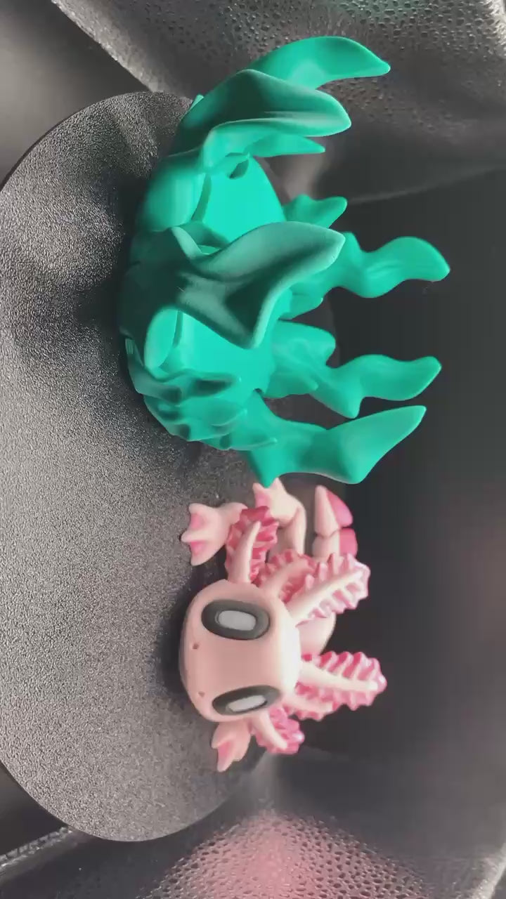 Axolotl With Seaweed Bed
