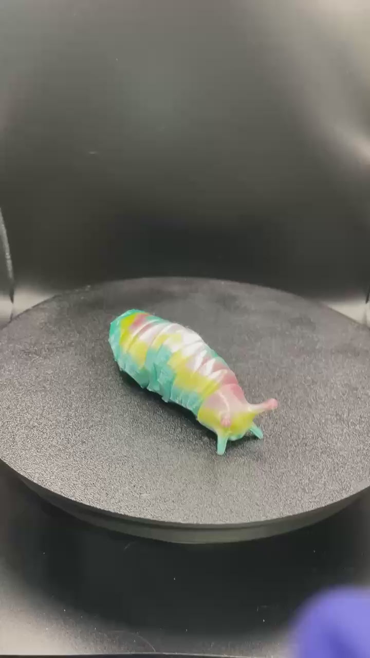 Rainbow Slug