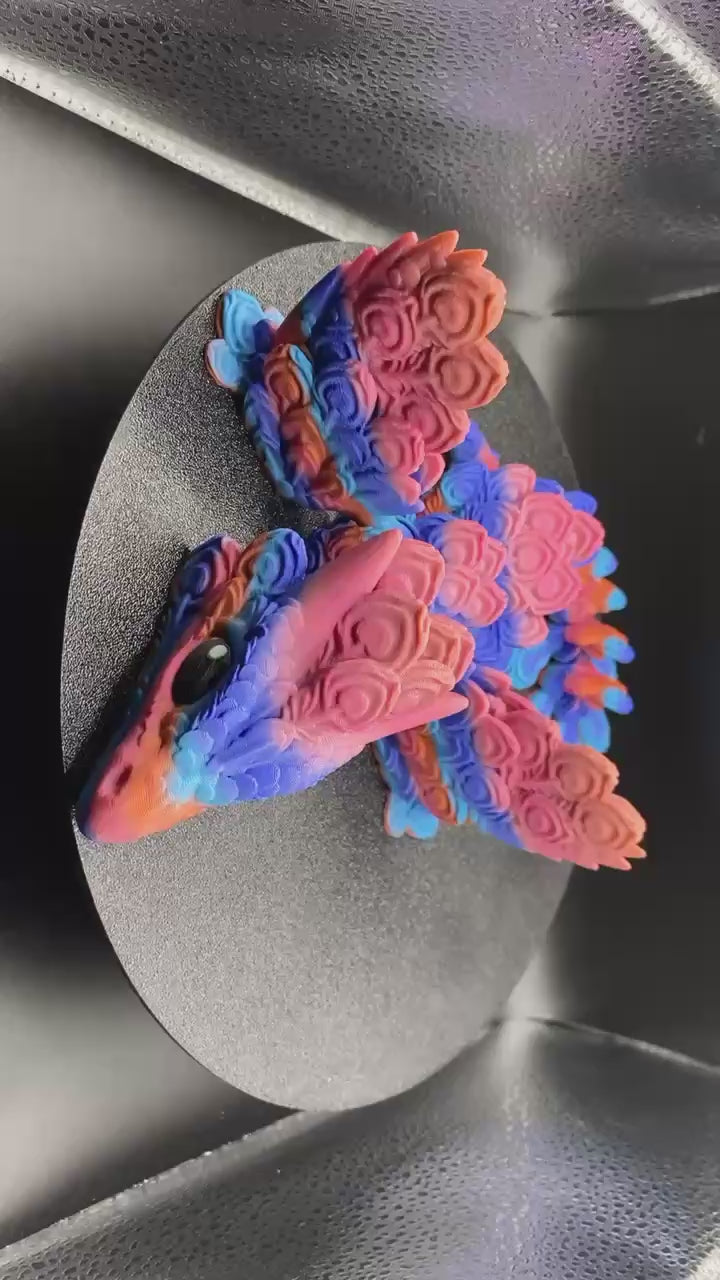 Peacock Dragon