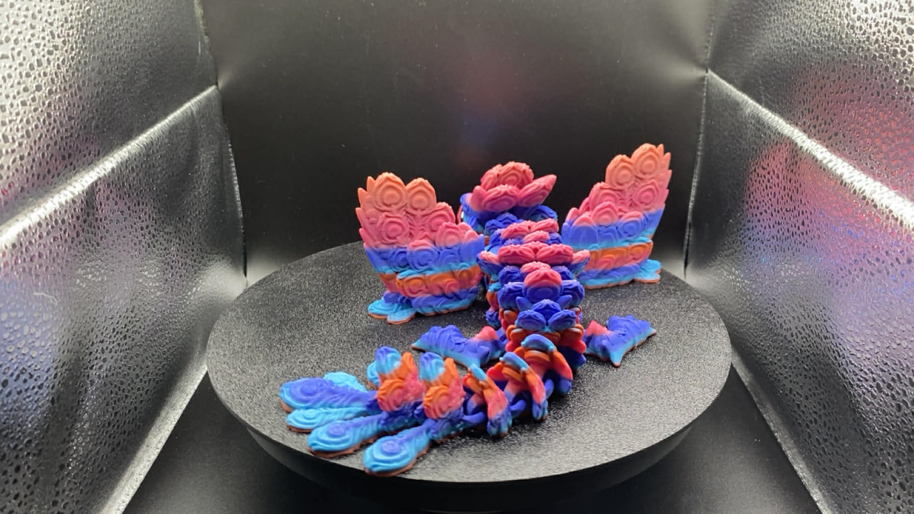 Peacock Dragon